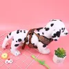 Factory direct sales of new pet chest and back models Application Scenario